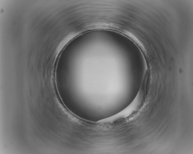 X0000072960901200608041150