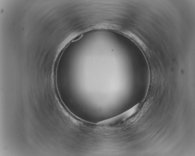 X0000072960902200608041150