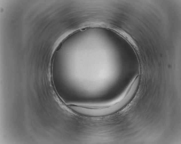 X0000072960904200608041150