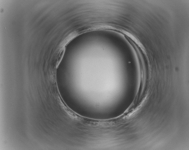 X0000072960905200608041150