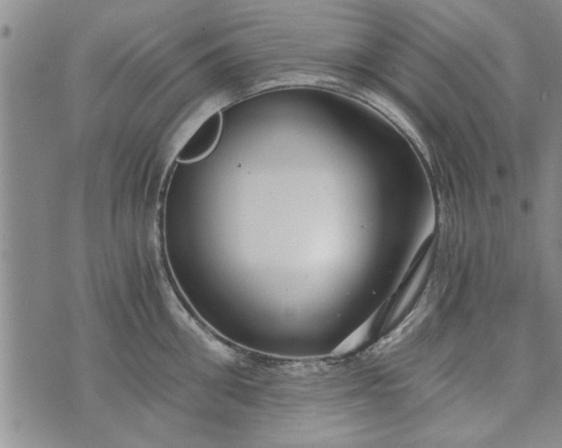 X0000072960906200608041150