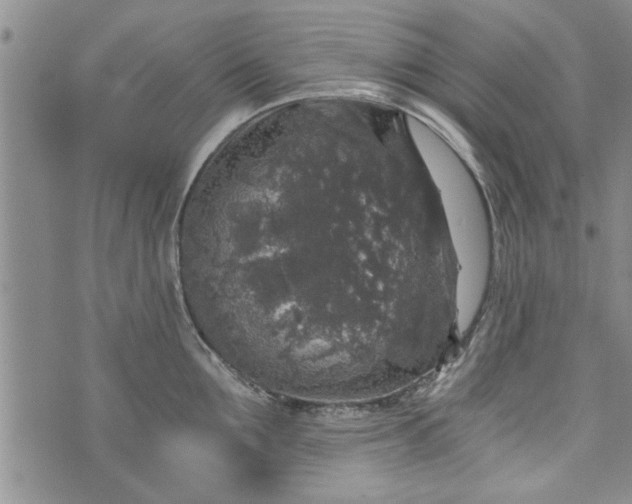 X0000072960907200608041150