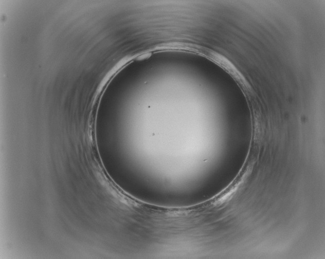 X0000072960908200608041150