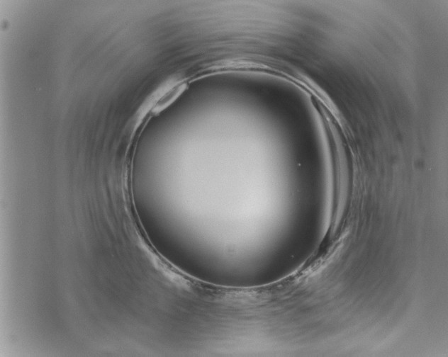 X0000072960909200608041149