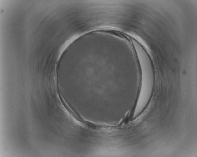 X0000072960910200608041149