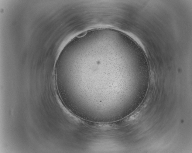 X0000072960911200608041149