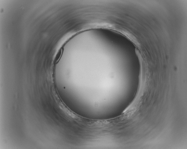 X0000072960912200608041149