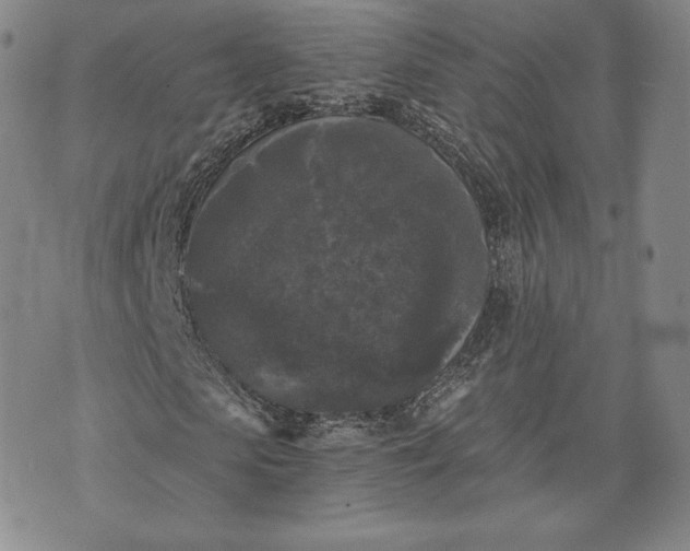 X0000072960913200608041149