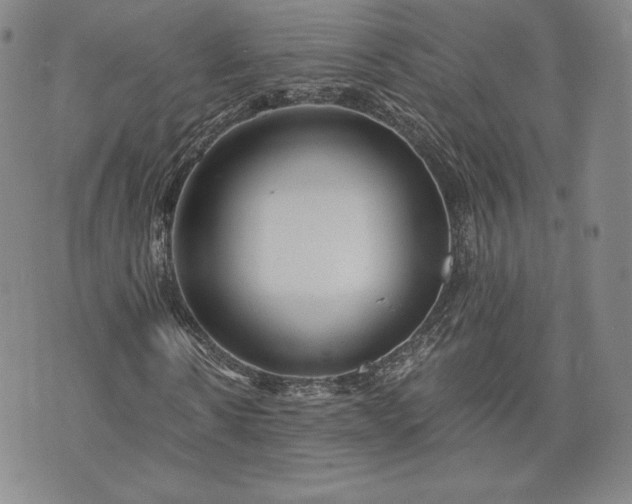 X0000072960914200608041149