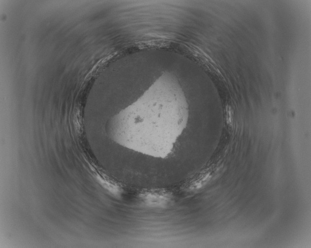 X0000072960915200608041149