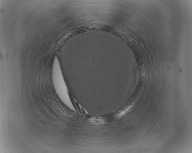 X0000072960916200608041149