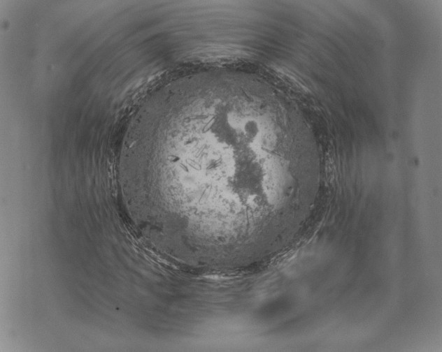 X0000072960917200608041149