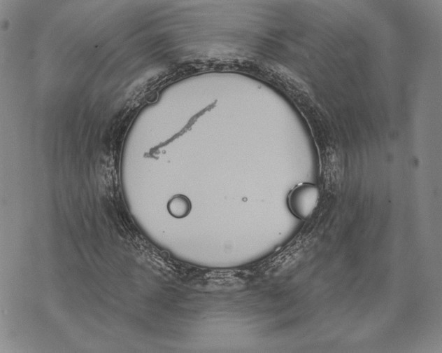 X0000072960918200608041149