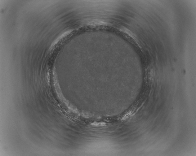 X0000072960919200608041149