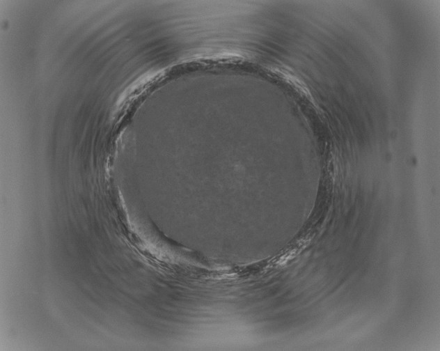 X0000072960920200608041149