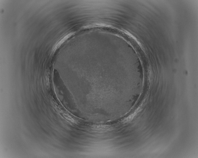 X0000072960921200608041149