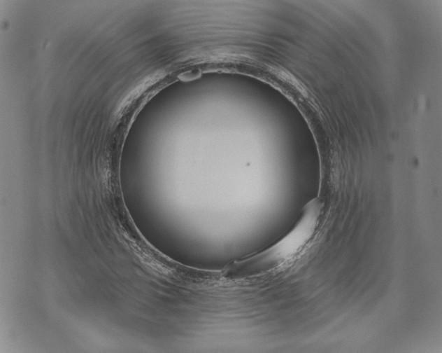 X0000072960922200608041149