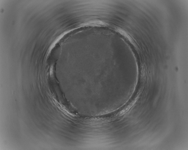 X0000072960923200608041149