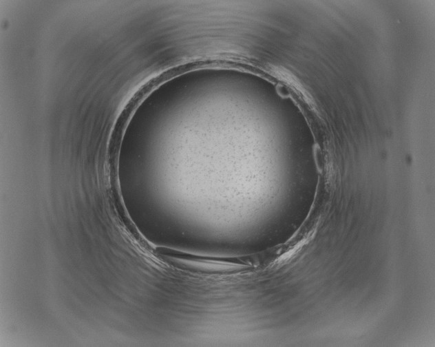 X0000072960924200608041149