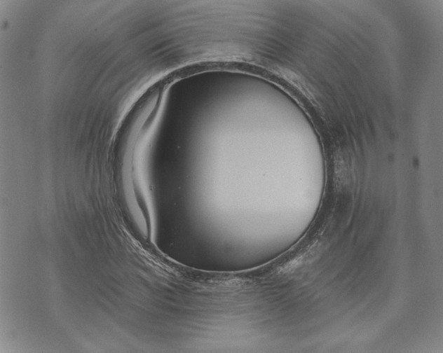 X0000072960926200608041149