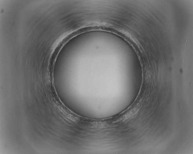 X0000072960927200608041149