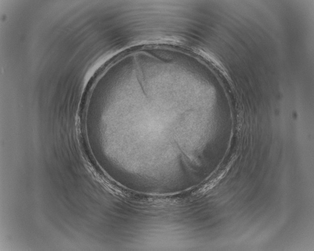 X0000072960928200608041149