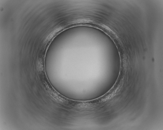 X0000072960929200608041149