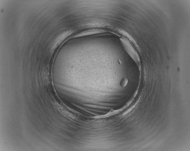 X0000072960930200608041149