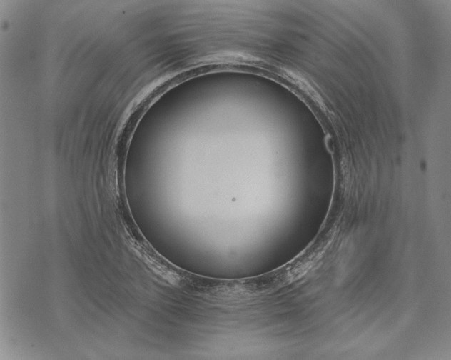 X0000072960931200608041149