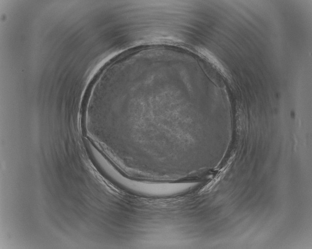 X0000072960932200608041149