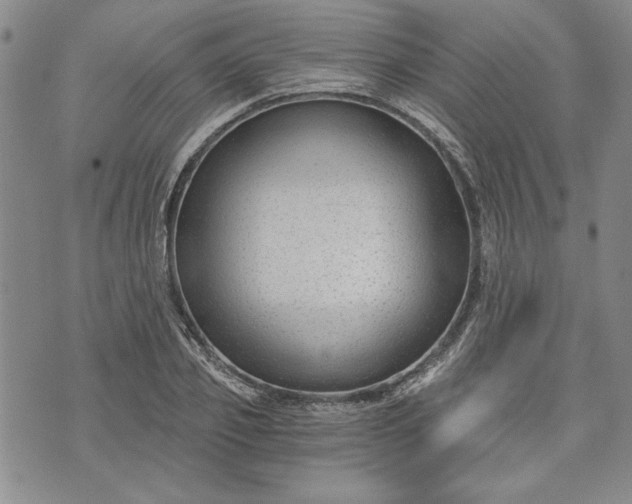 X0000072960933200608041149