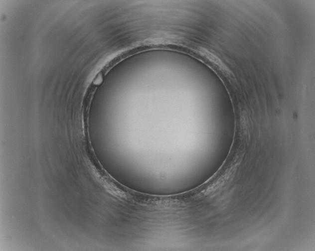 X0000072960934200608041149