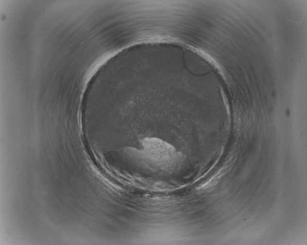 X0000072960935200608041149