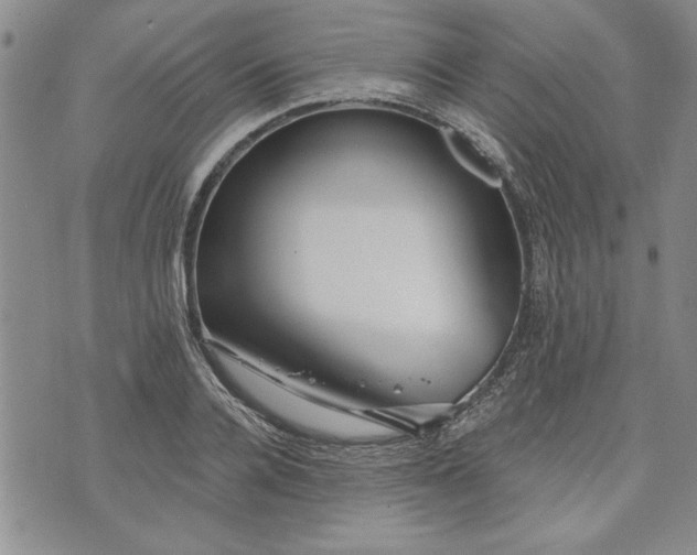 X0000072960936200608041149