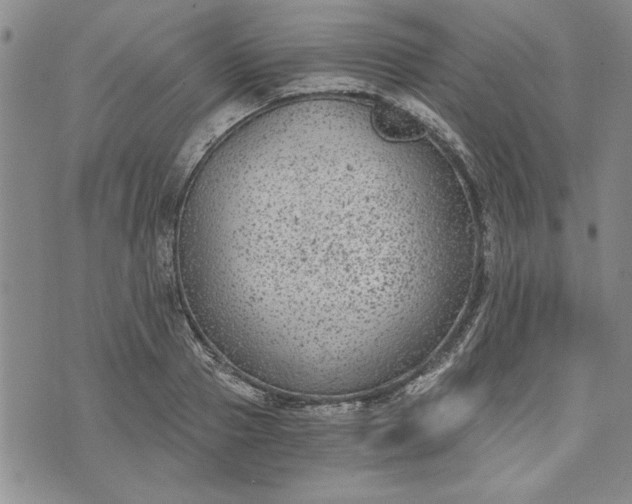 X0000072960937200608041149