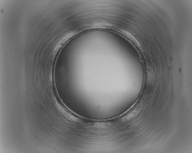 X0000072960938200608041149