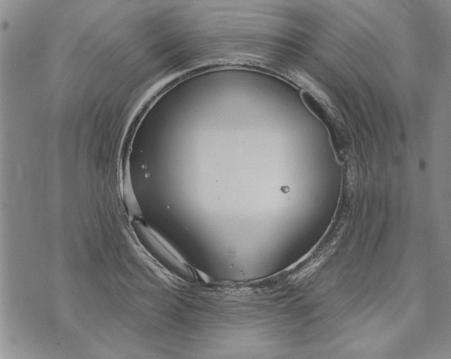 X0000072960940200608041149