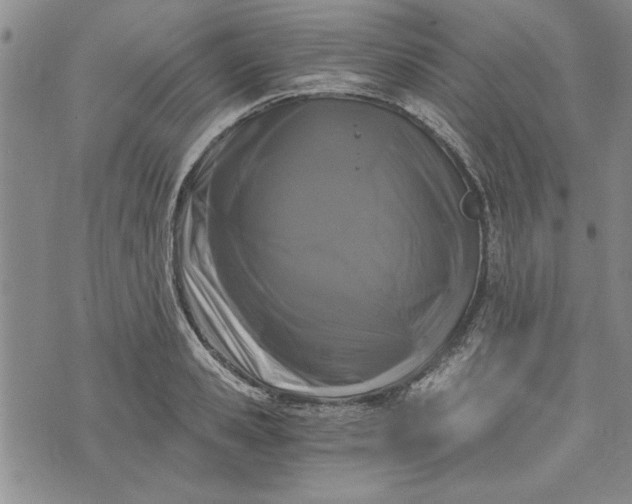 X0000072960941200608041149