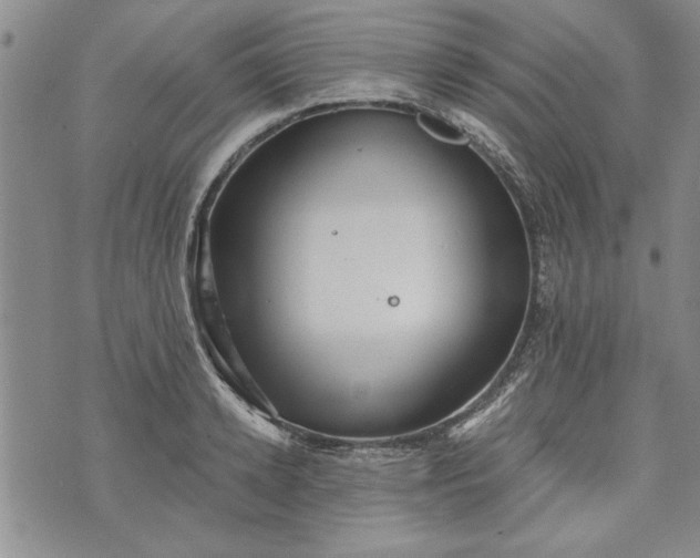 X0000072960942200608041149