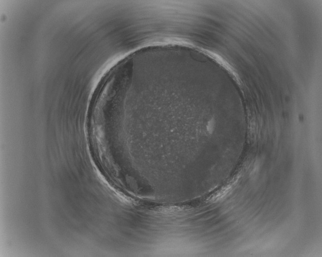 X0000072960943200608041149