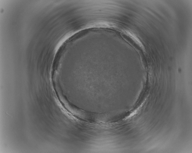 X0000072960944200608041149