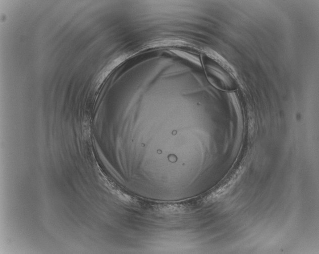 X0000072960945200608041149