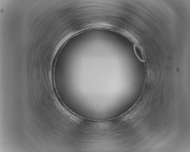 X0000072960947200608041149