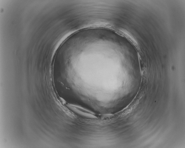 X0000072960948200608041149