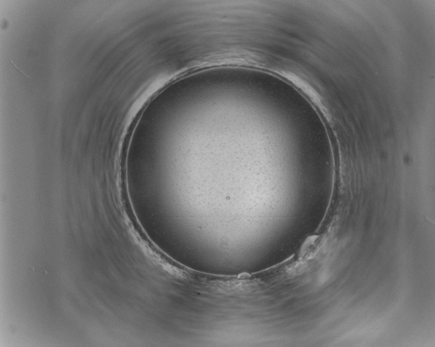 X0000072960949200608041149