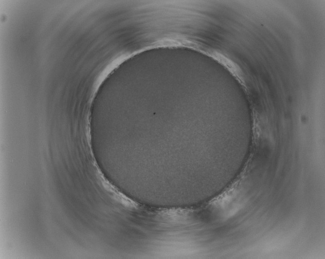 X0000072960950200608041149