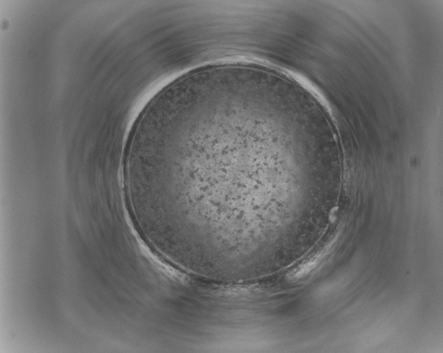 X0000072960951200608041149