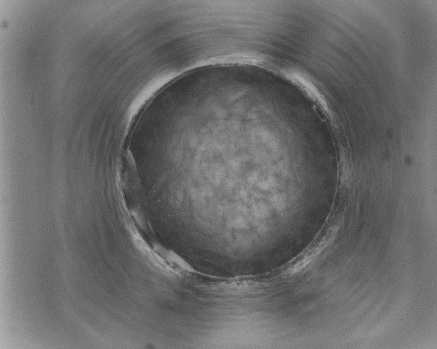 X0000072960952200608041149