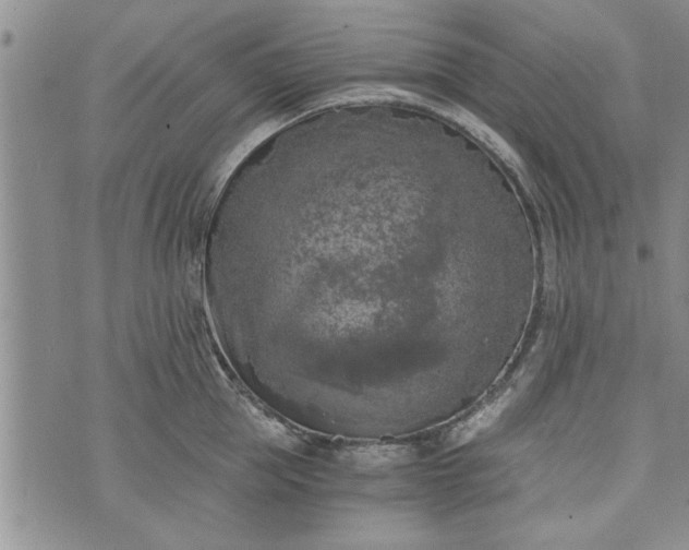 X0000072960953200608041149