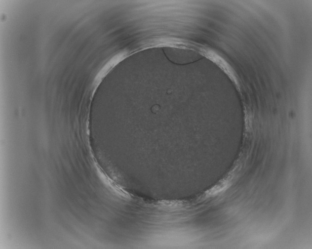 X0000072960954200608041149